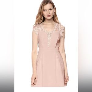 BCBGeneration blush lace mini dress size 10